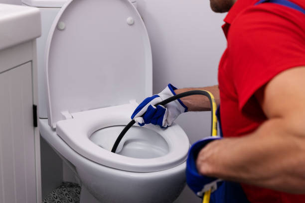 Best Clogged Drain Plumber  in Long Grove, IL