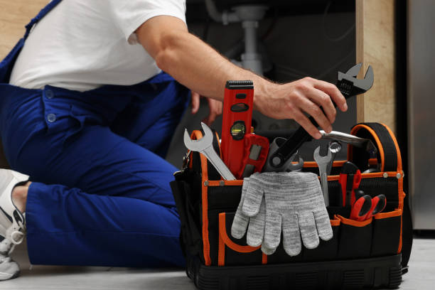Best Affordable Plumbing Services  in Long Grove, IL